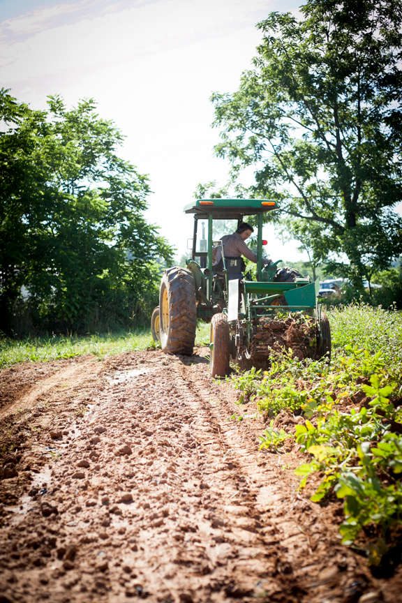 Gaining Ground Farm in Leicester, North Carolina