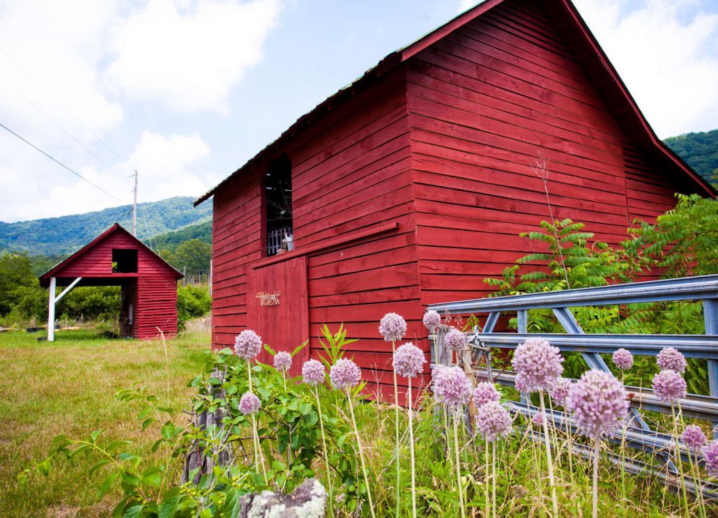 Sticky Indian Hops Farm in Candler, North Carolina