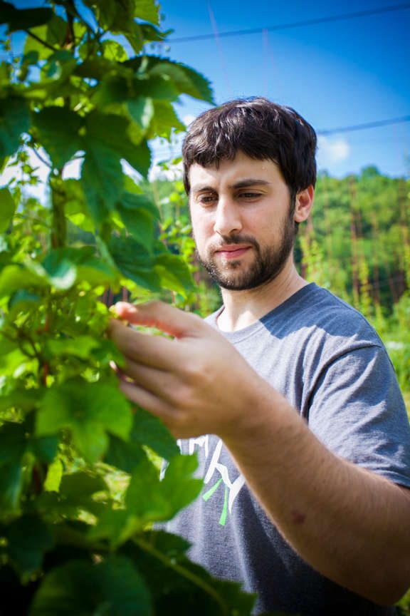 Parker Davis of Sticky Indian Hops Farm