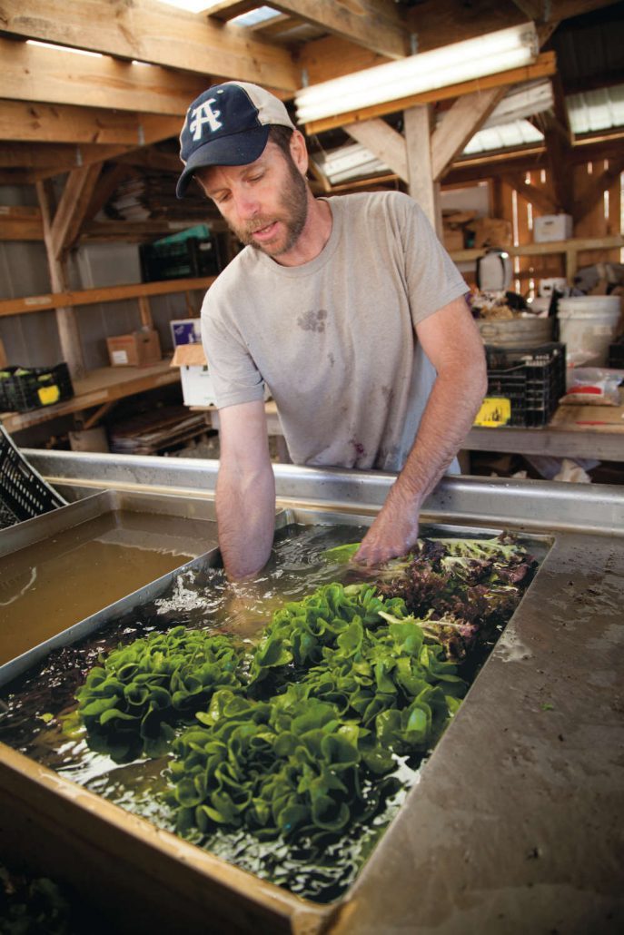 Paul Littman of Ivy Creek Family Farm