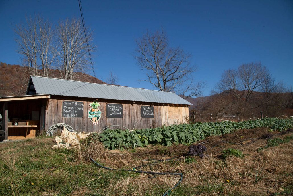 Ivy Creek Farm in Barnardsville, North Carolina