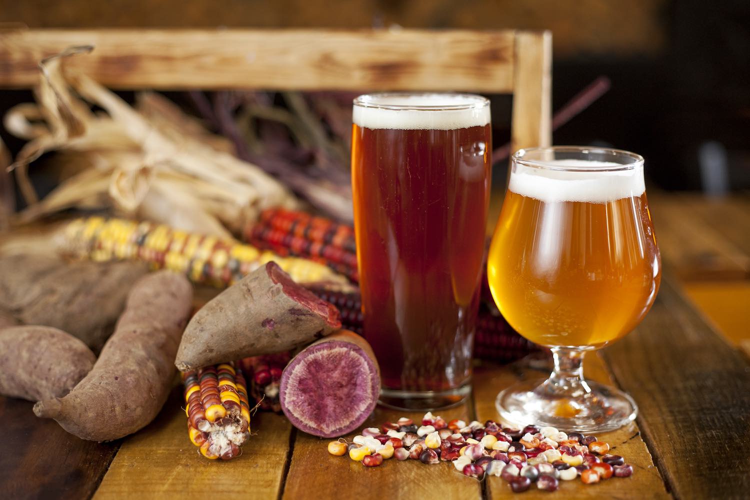 Beer Farm 8 Edible Asheville