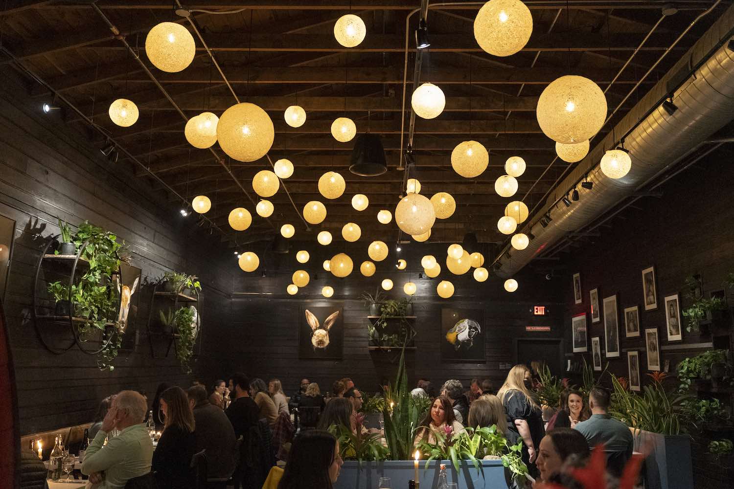 Hidden Gems 2024 Visitors Issue Edible Asheville(01)