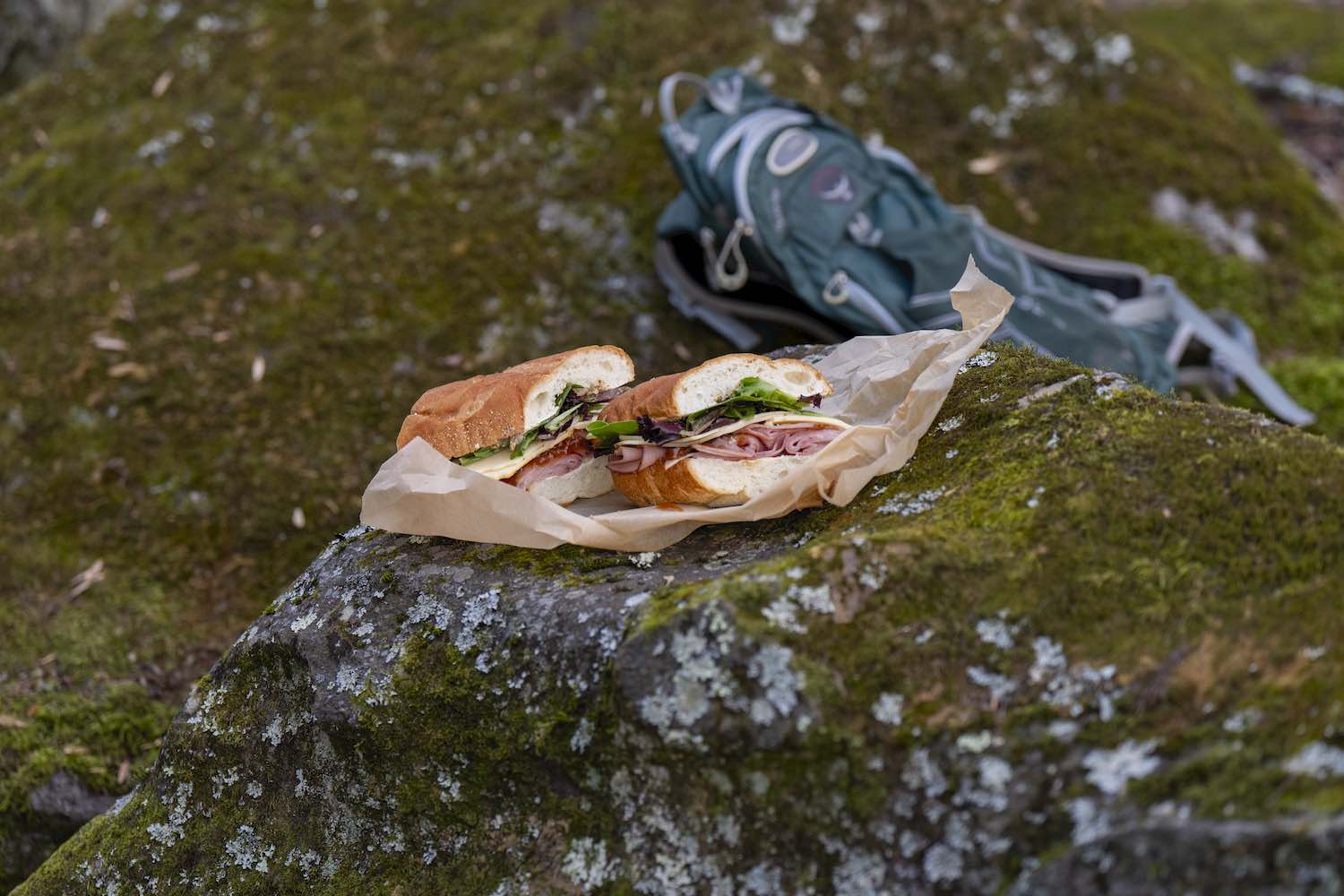 Napa Sandwich 1 Edible Asheville